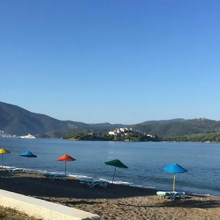 Rossa Holiday