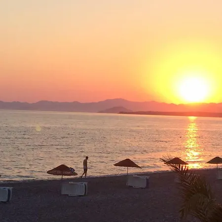 Rossa Holiday