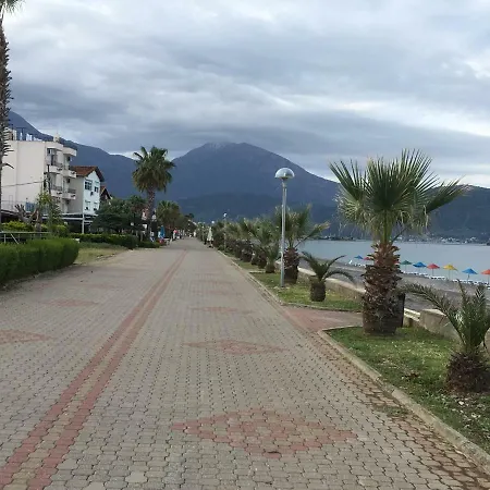 Rossa Holiday